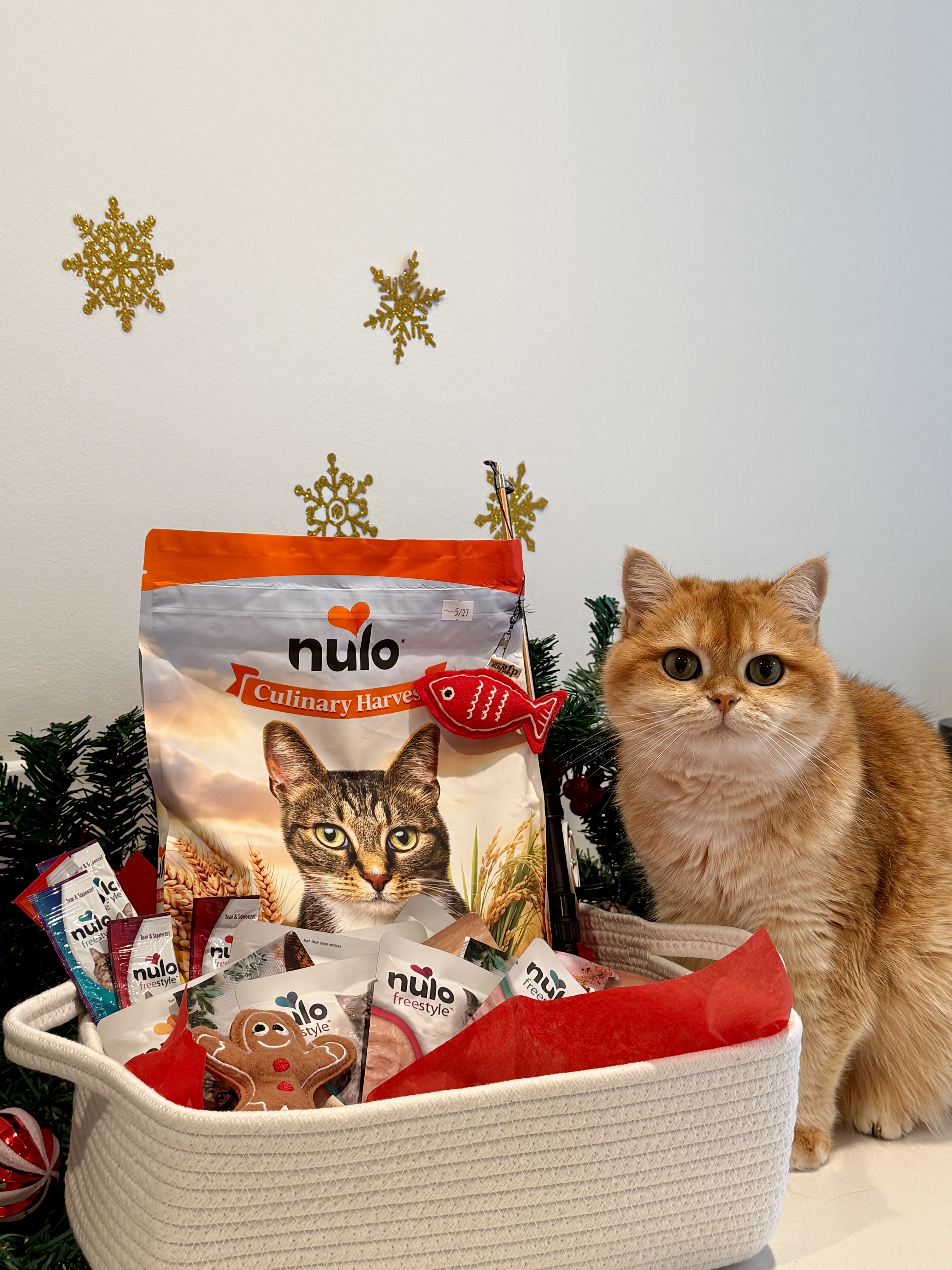 Nulo Cat Food pet product photography by UGC creator Purrernie