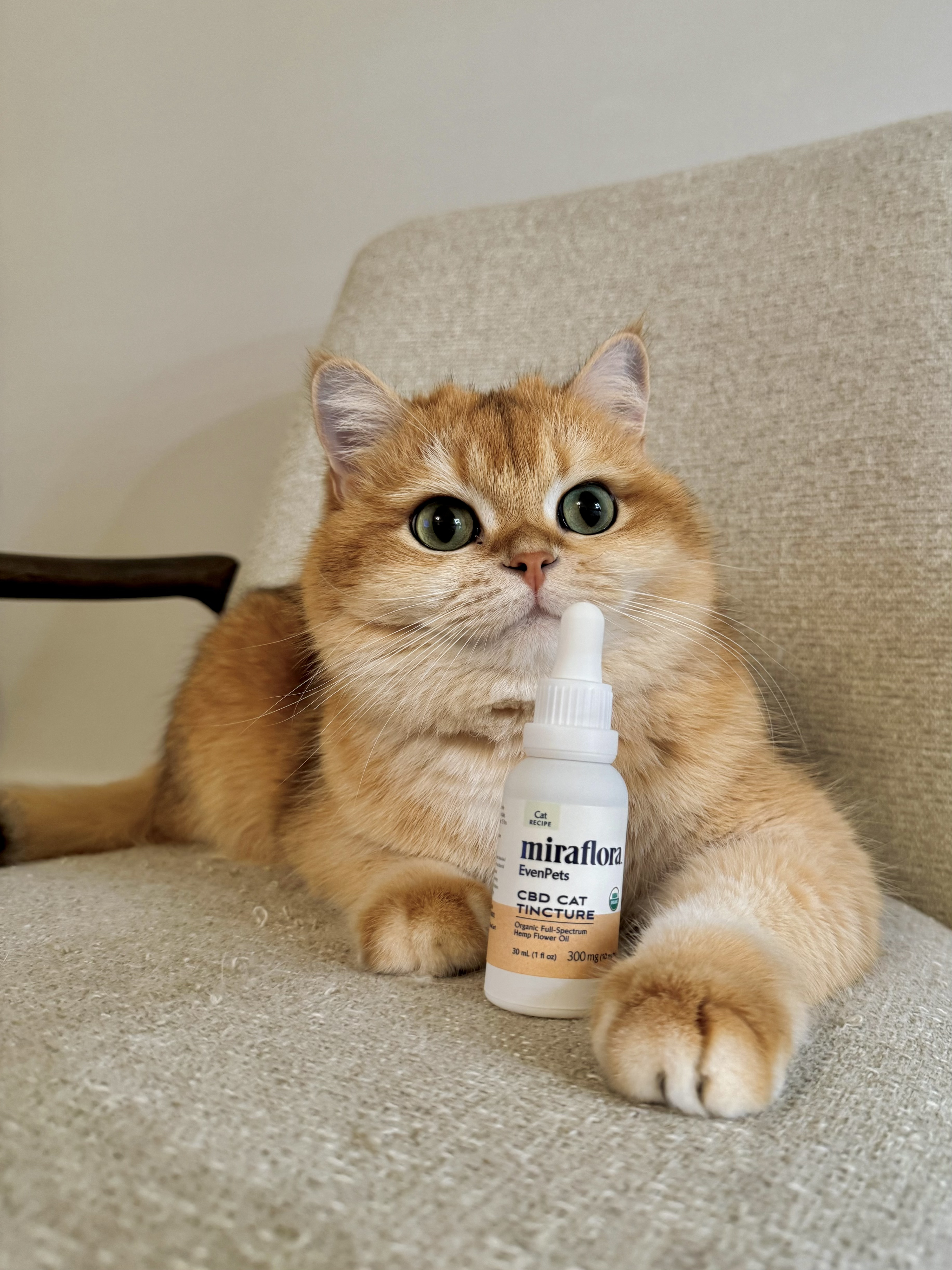 MiraFlora Supplements pet product photography by UGC creator Purrernie