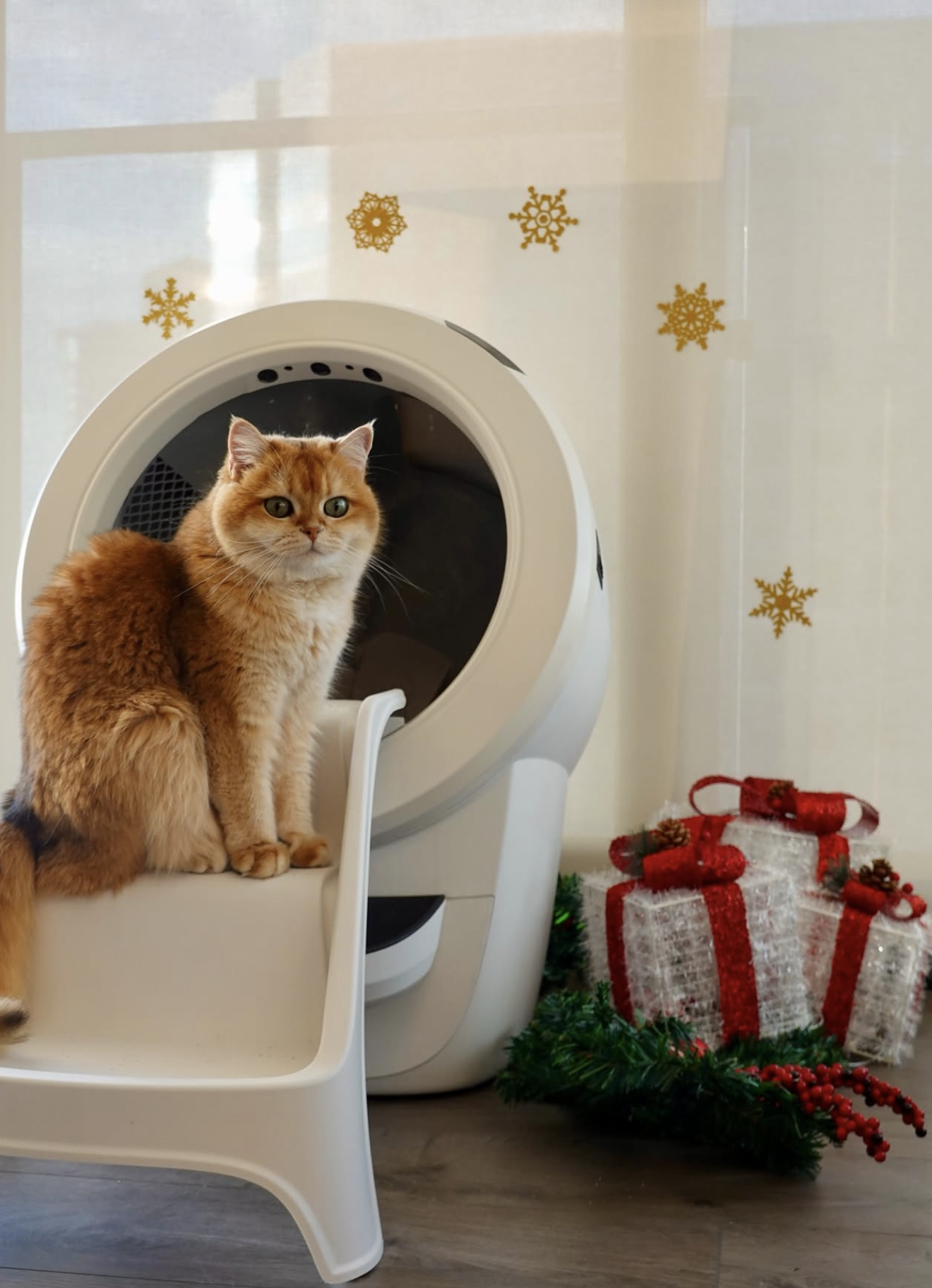 Litter Robot Smart Pet & Tech pet product photography by UGC creator Purrernie