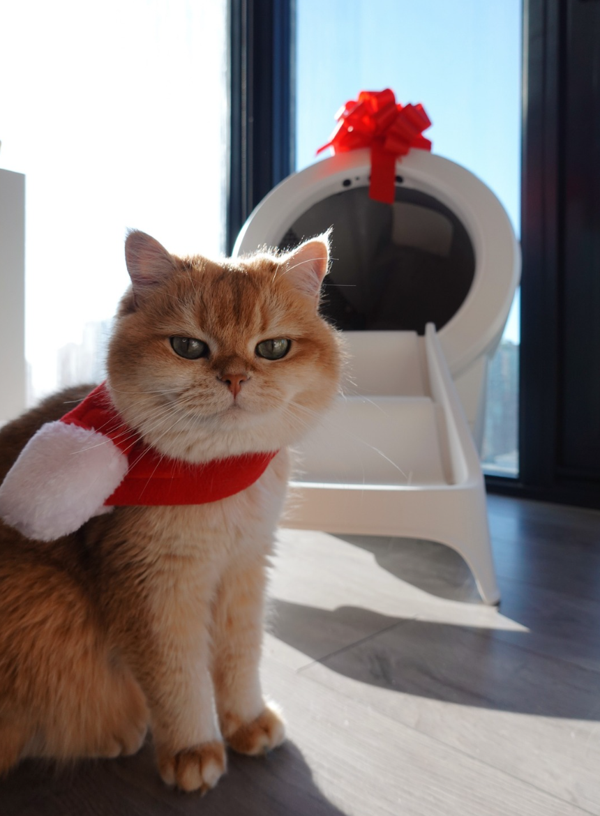 Litter Robot Smart Pet & Tech pet product photography by UGC creator Purrernie